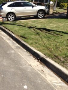 Weight bearing great turf driveways